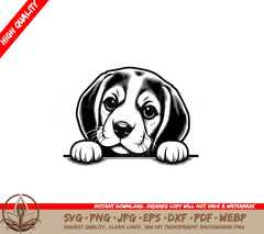 Beagles Soft Stare SVG, PNG, JPG, AI, PDF, DXF, EPS and WebP Digital Download