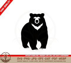Bear with White Fur SVG PNG JPG AI PDF DXF EPS and WebP - Digital Download