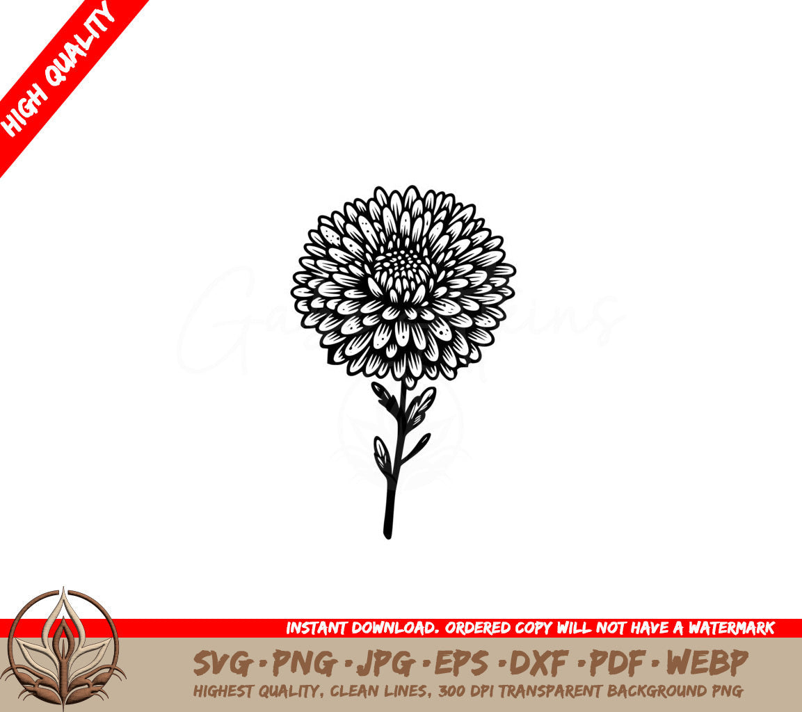 Beautiful Aster Bloom SVG Cut File