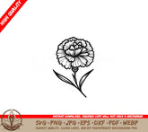 Beautiful Carnation SVG, PNG, JPG, AI, PDF, DXF, EPS and WebP - Digital Downloadable File