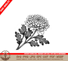 Beautiful Chrysanthemum Bloom SVG, PNG, JPG, AI, PDF, DXF, EPS WebP Digital Download