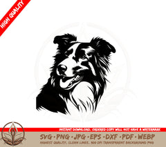 Beautiful Collie SVG PNG JPG AI PDF DXF EPS and WebP Digital Download
