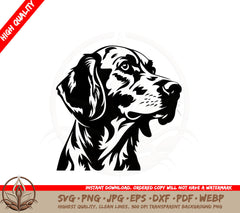 Beautiful Dog Portrait SVG PNG JPG AI PDF DXF EPS  WebP Digital Download