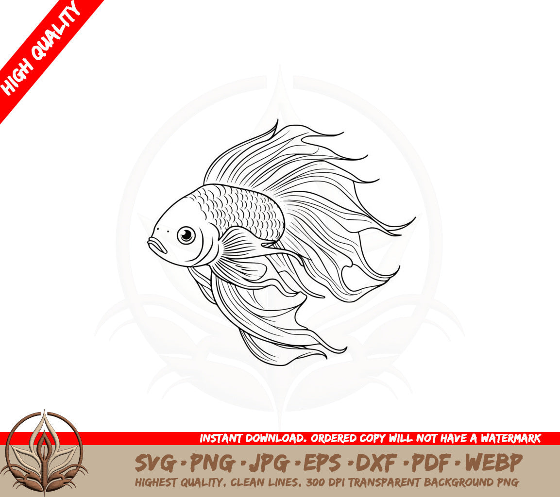 Beautiful Fighting Fish SVG