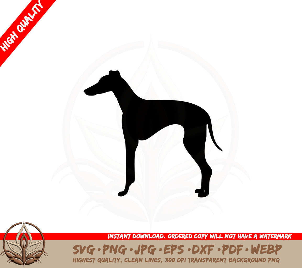 Beautiful Greyhound SVG - Digital Download