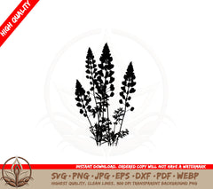 Beautiful Lupin Blossoms SVG PNG JPG AI PDF DXF EPS WebP Digital Download