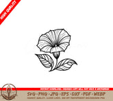 Beautiful Morning Glory SVG, PNG, JPG, AI, PDF, DXF, EPS and WebP Digital Download