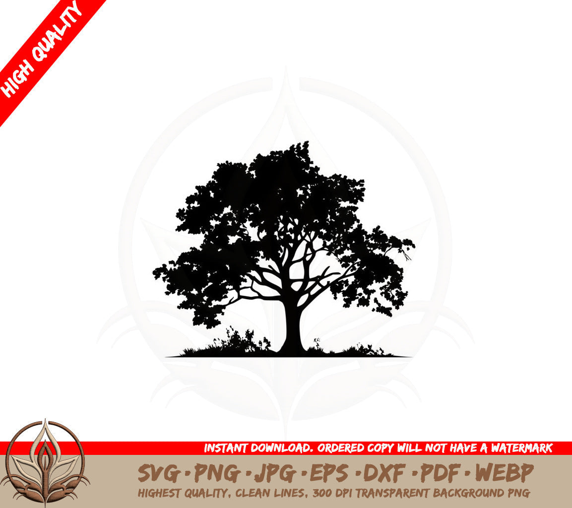 Beautiful Oak Tree SVG PNG JPG AI PDF DXF EPS WebP Digital Download