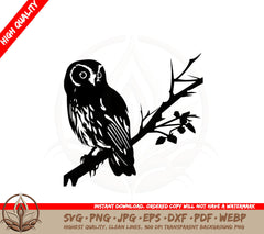 Beautiful Owl Digital Design SVG