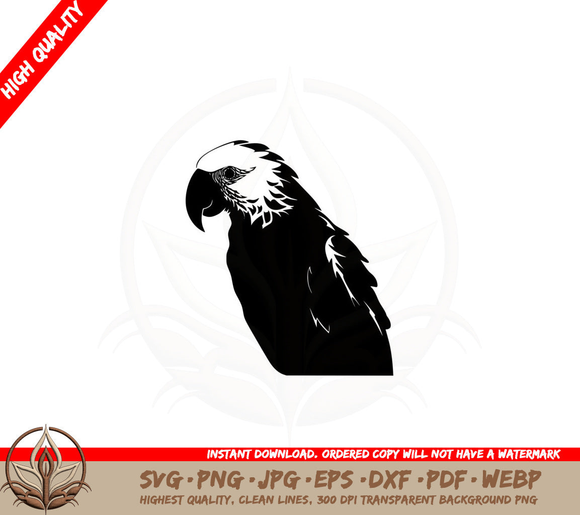 Beautiful Parrot SVG PNG JPG AI PDF DXF EPS WebP - Digital Download