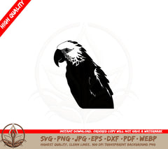 Beautiful Parrot SVG PNG JPG AI PDF DXF EPS WebP - Digital Download