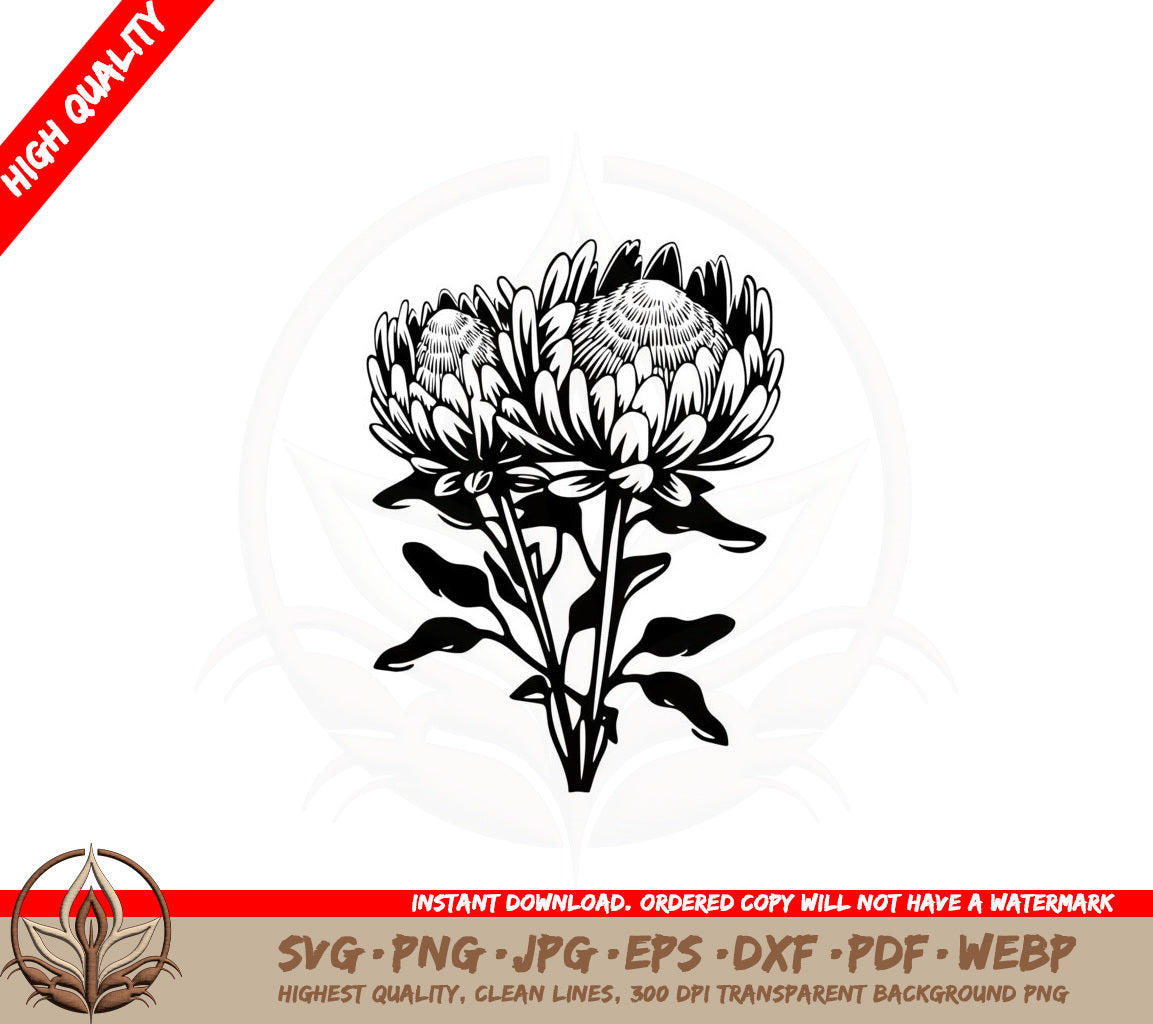 Beautiful Protea Flowers SVG PNG JPG AI PDF DXF EPS and WebP - Digital Download