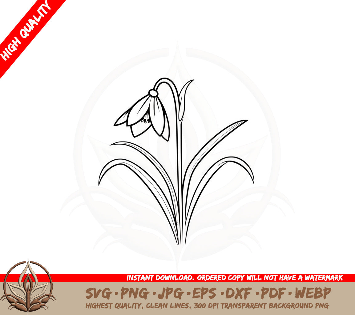 Beautiful Snowdrop SVG PNG JPG AI PDF DXF EPS WebP