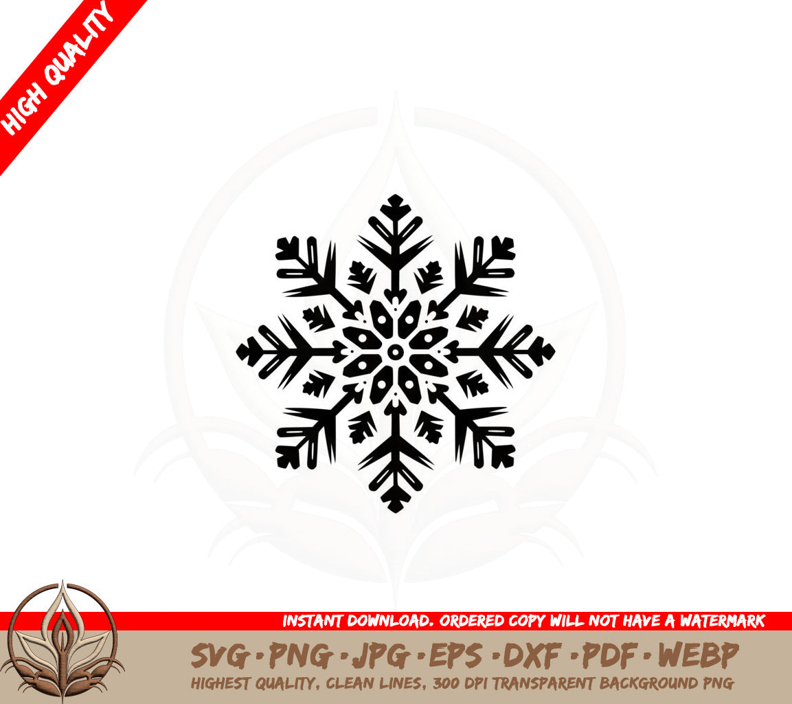 Beautiful Winter Snowflake SVG PNG JPG AI PDF DXF EPS WebP