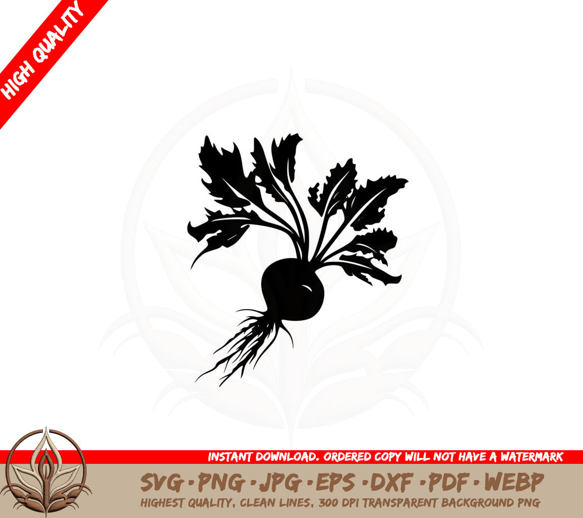 Beet Plant SVG - Digital Download