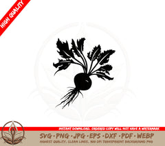 Beet Plant SVG - Digital Download