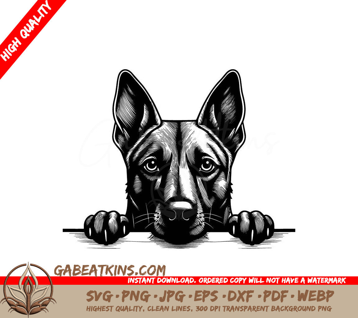 German Shepherd & Belgian Malinois SVG - Paws Forward SVG