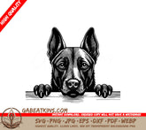 Belgian Tervuren Dog Looking Over Wall -  SVG SVG