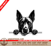 Belgian Tervuren Dog Peeking Over Wall SVG -  Drawing SVG