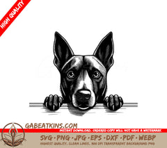 Belgian Tervuren Dog Peeking Over Wall SVG - Drawing SVG