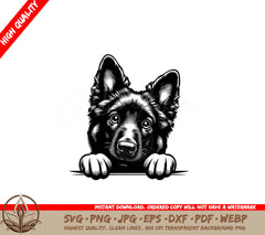 Belgian Malinois Peeking SVG