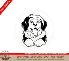 Bernese Mountain Dog SVG PNG JPG AI PDF DXF EPS and WebP Digital Download