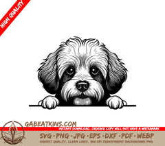 Bichon Frise Peeking Over Wall - Dog SVG SVG