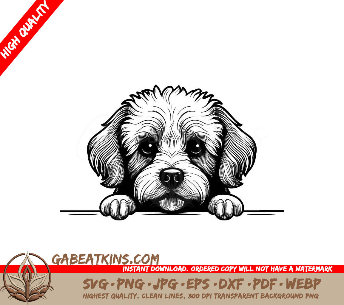 Bichon Frise Peeking Over Wall - SVG Illustration SVG