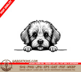 Bichon Frise Peeking Over Wall -  SVG Illustration SVG