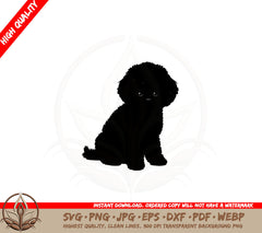 Bichon Frise SVG