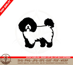 Bichon Frise with Fluffy Fur SVG