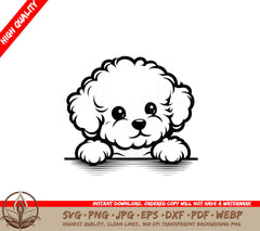 Bichon Peek Surprise SVG Cut File