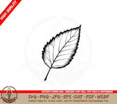 Birch Leaf SVG PNG JPG AI PDF DXF EPS and WebP - Digital Download