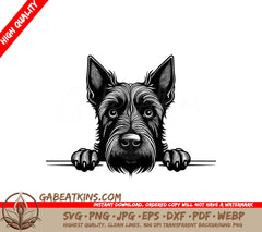 Scottish Terrier Peeking Over Wall SVG - 11 Aspect Ratio SVG