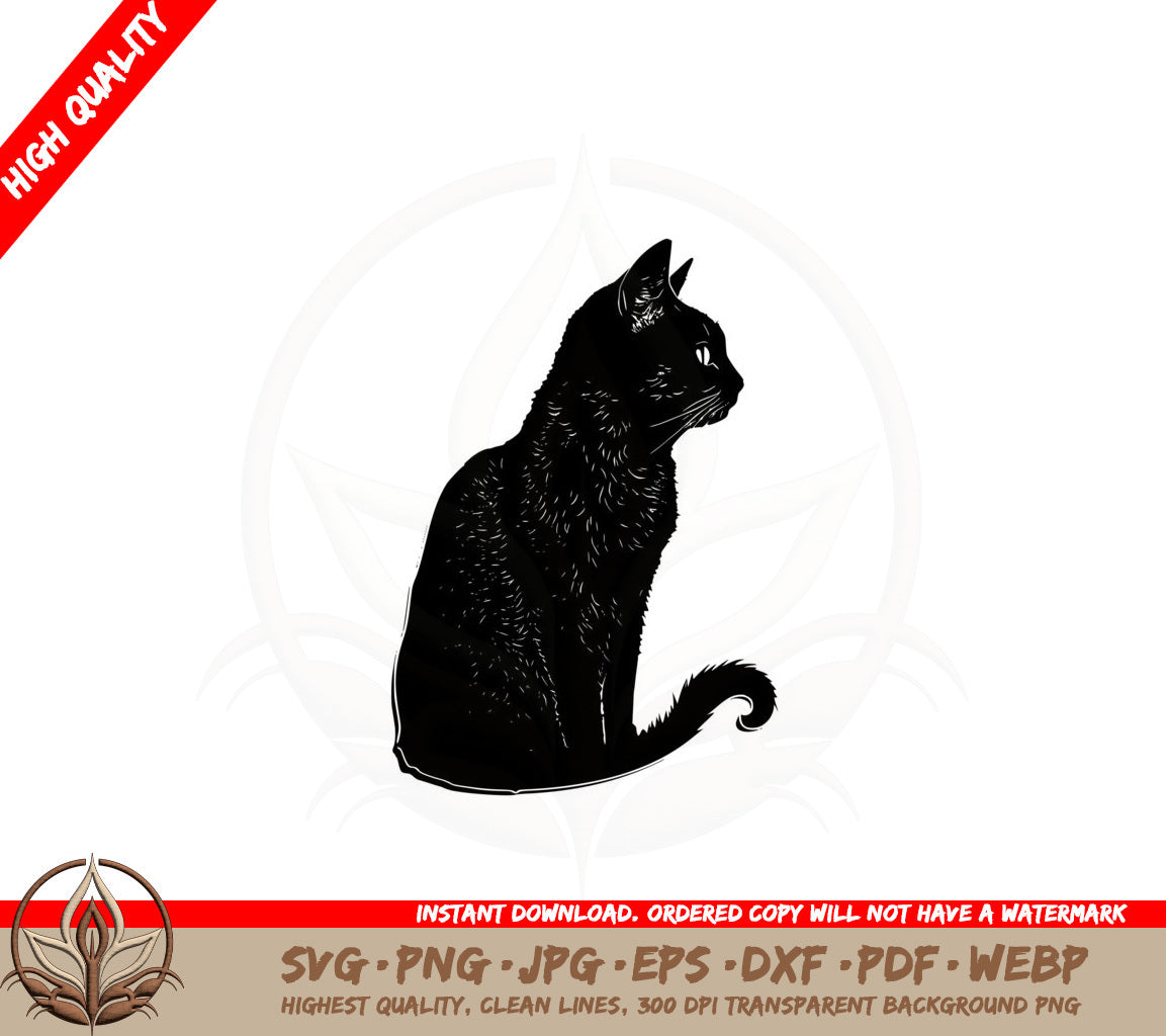 Black Cat SVG PNG JPG AI PDF DXF EPS and WebP - Digital Download