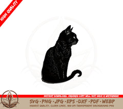 Black Cat SVG PNG JPG AI PDF DXF EPS and WebP - Digital Download