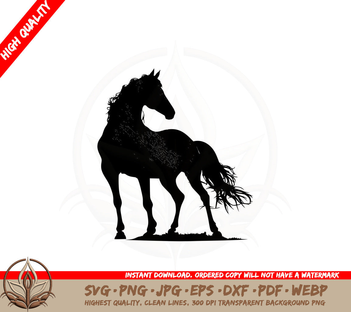 Black Stallion Beauty SVG Cut File Download