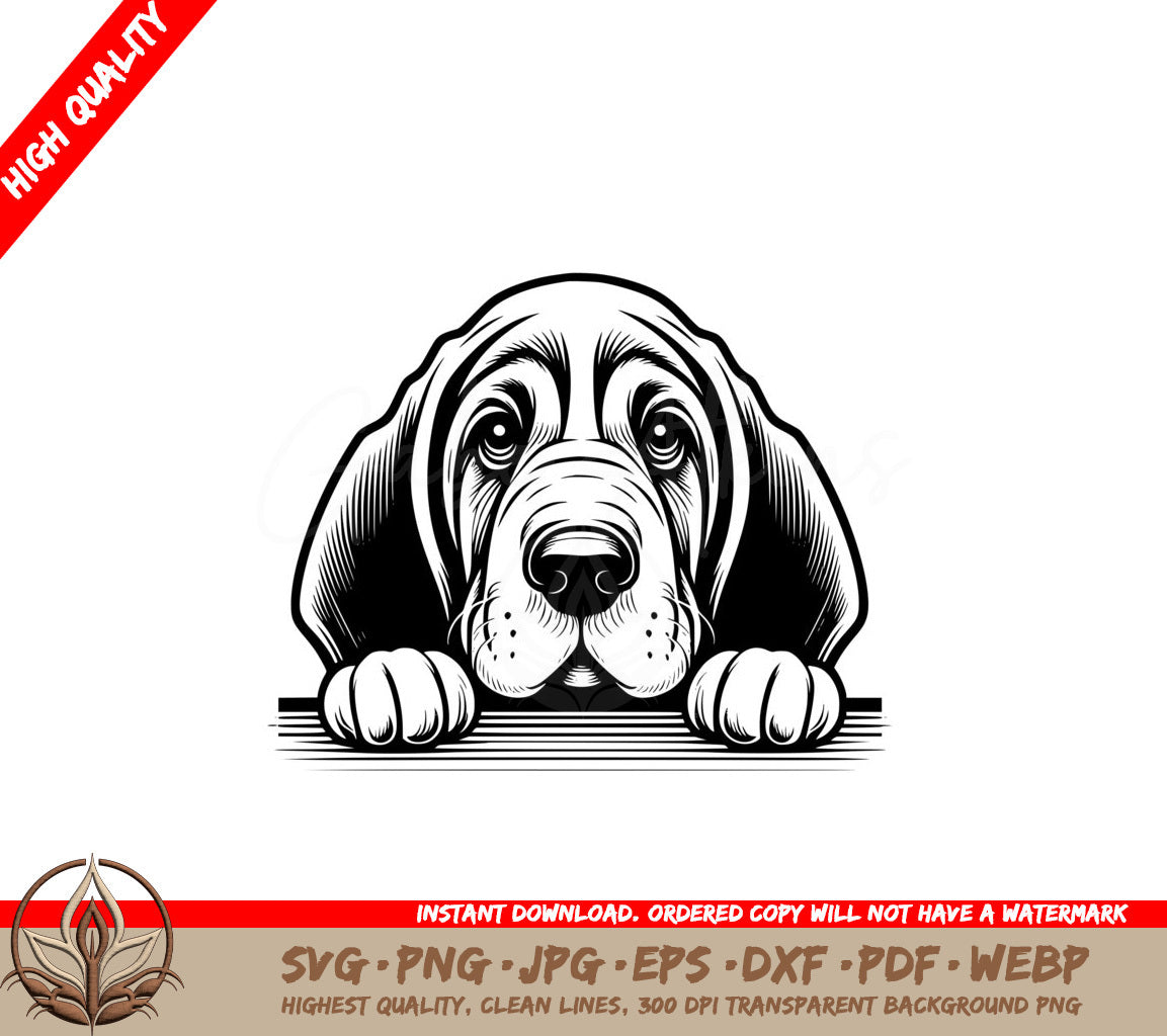 Bloodhound Peeking SVG, PNG, JPG, AI, PDF, DXF, EPS and WebP Digital Download