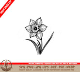 Blooming Grace Daffodil SVG, PNG, JPG, AI, PDF, DXF, EPS and WebP Digital Download