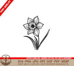 Blooming Grace Daffodil SVG, PNG, JPG, AI, PDF, DXF, EPS and WebP Digital Download