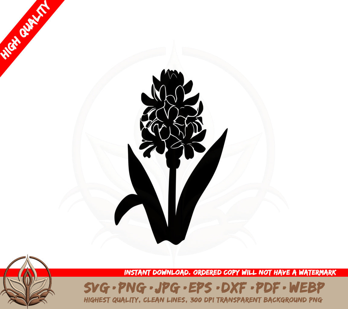Blooming Hyacinth Flower SVG PNG JPG AI PDF DXF EPS and WebP Digital Download