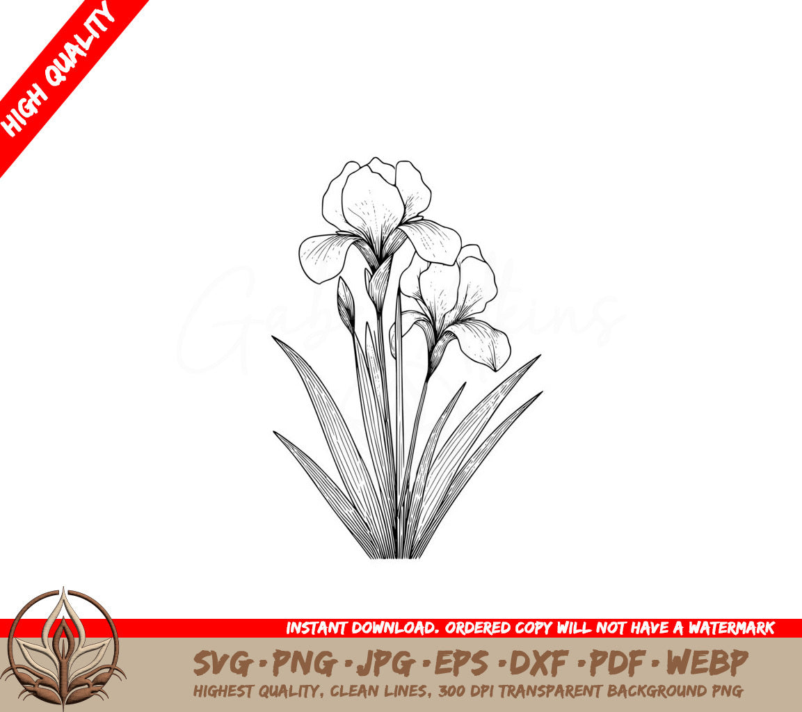 Blooming Iris SVG, PNG, JPG, AI, PDF, DXF, EPS and WebP - Digital Download