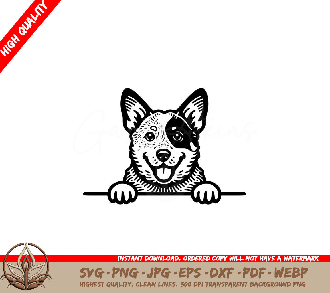 Blue Heeler Peeking SVG Digital Product