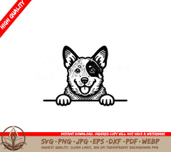 Blue Heeler Peeking SVG Digital Product