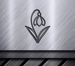 Bold Snowdrop Flower