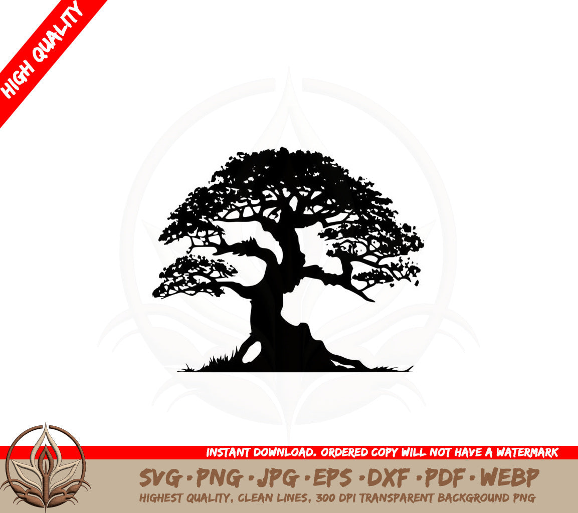Bonsai Tree SVG