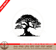 Bonsai Tree SVG