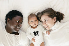 Border Collie Peeking Over Wall SVG SVG