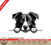 Border Collie Peeking Over Wall SVG -  Drawing SVG