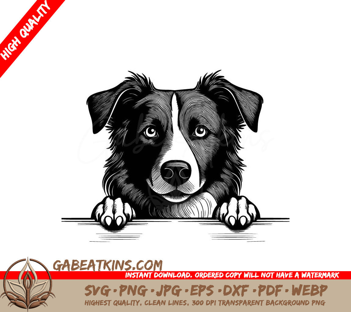 Border Collie Peeking Over Wall SVG SVG